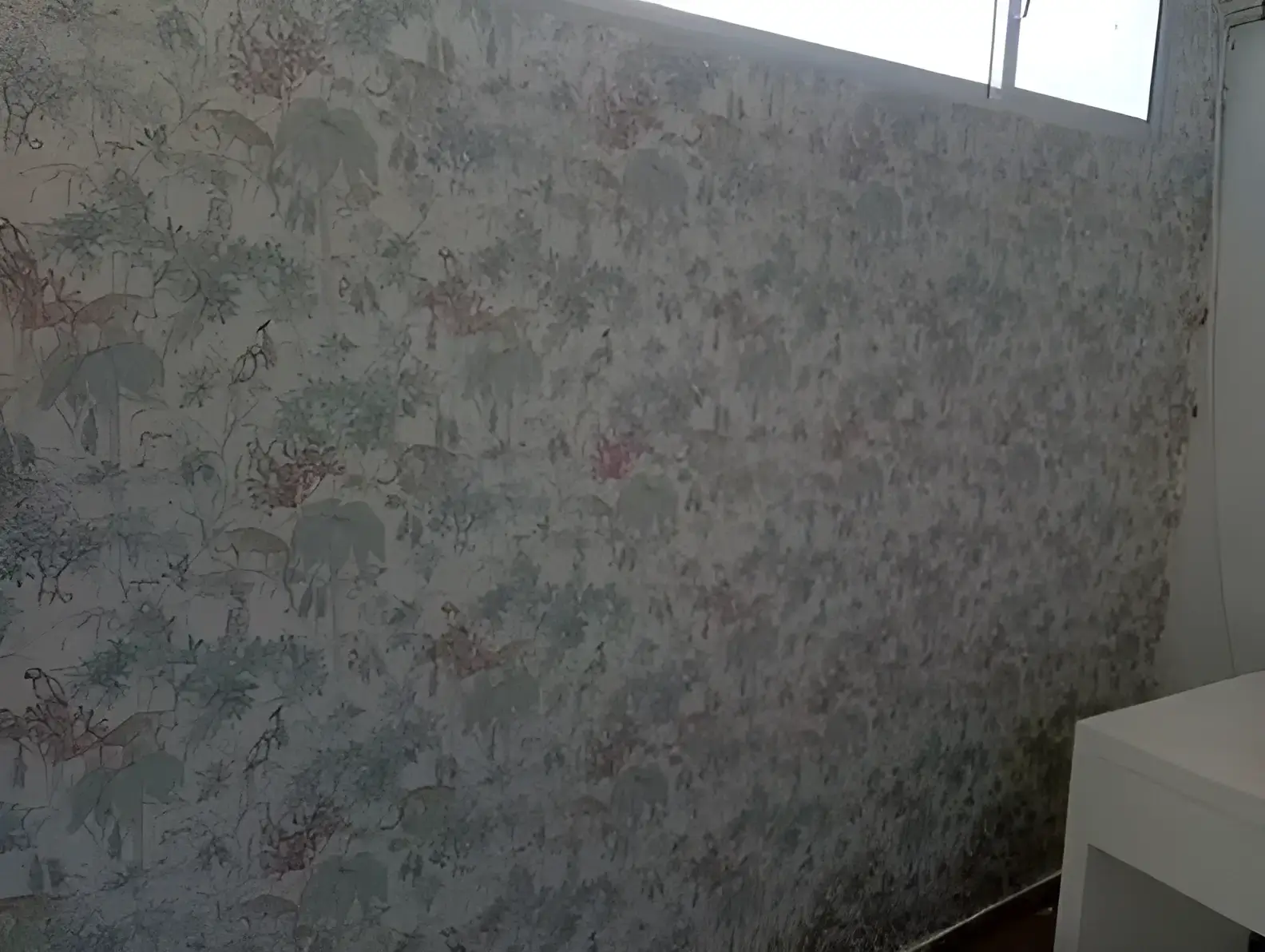 Los Pintores Alcala de Henares colocando papel pintado decorativo en pared completa de habitación